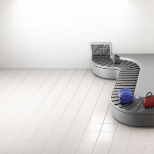 Baggage Handling System